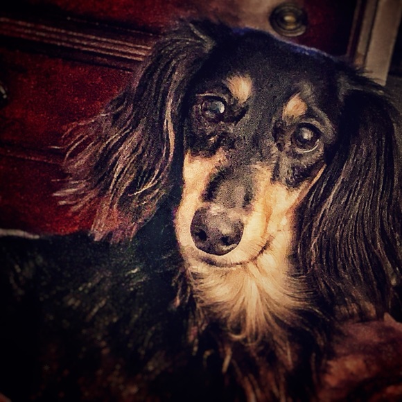 Meet your Posher, Kristi - Picture 6 of 11